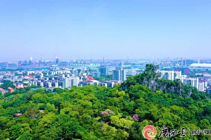 1955471698480459777.jpg 1955471698480459777.jpg